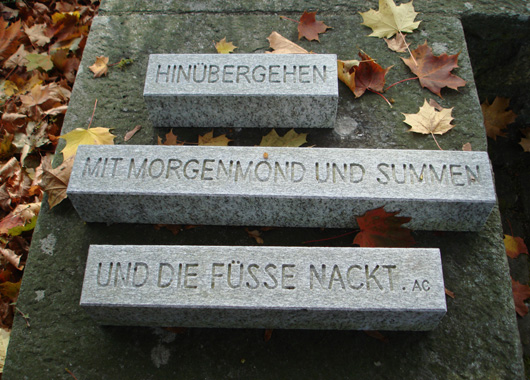 HINÜBERGEHEN… | Haiku unterm Baum