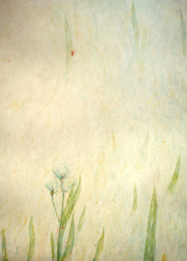 die Blume